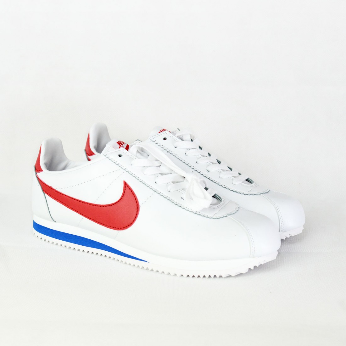 cortez basic ncxl